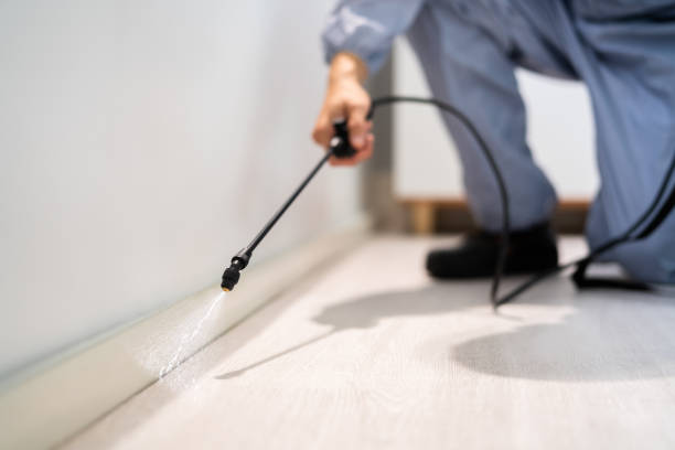 Licensed Pest Control service in Garyville, LA - Show Me Pest Control