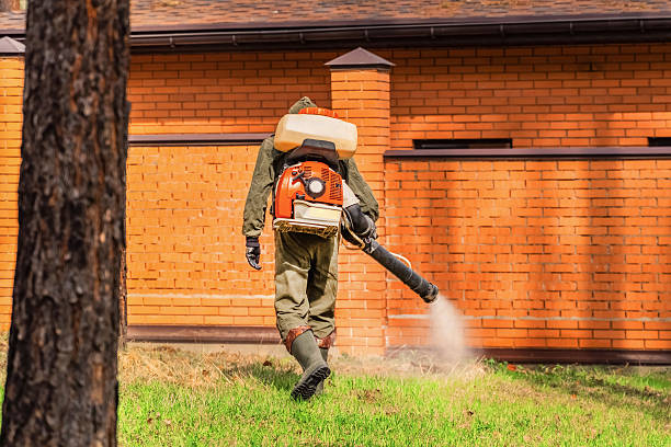 Bed Bug Clearance Verification and Documentation in Garyville
